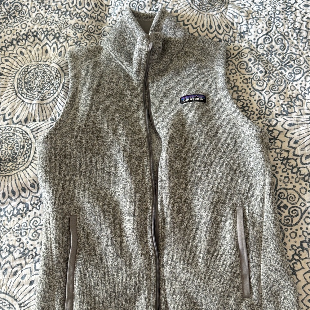 Patagonia Gray Fleece Vest